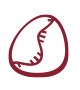 Genética - Germano de Sousa